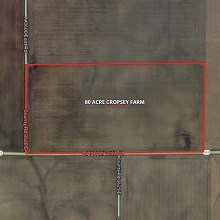 81 Acre Cropsey Farm