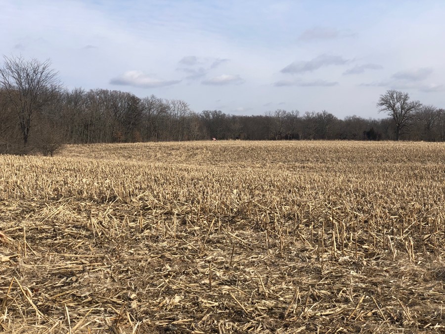 Property For Sale Plymouth IL Schuyler County 253 Acre Schuyler Timber and Farm Land
