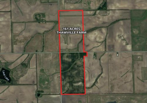 161 Acres Thawville Farm
