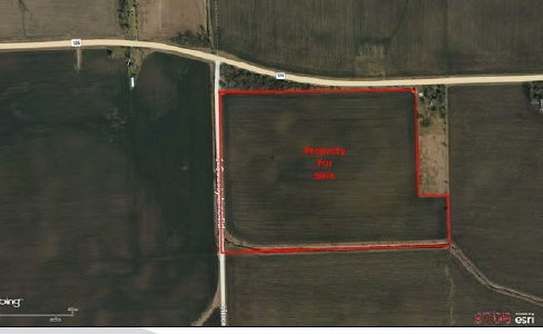 Bayles Farm 55 Acres 