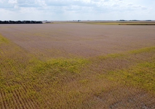 160 Acre Wall Township Farm