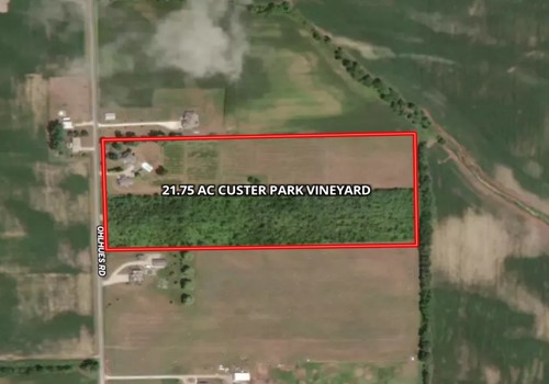 21.75 Acre Custer Park Vineyard 