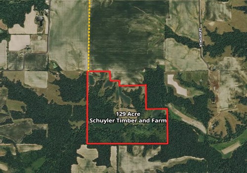 129 Acre Schuyler Timber and Farm Land