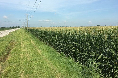 80 Ac Florence Township Farm