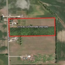 21.75 Acre Custer Park Vineyard