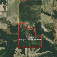 129 Acre Schuyler Timber and Farm Land