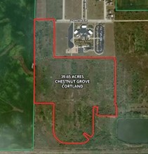 39 Acres Chestnut Grove Vacant Land