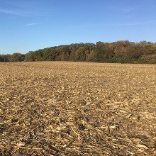 70 Ac Ballou Rd Lots