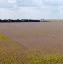 160 Acre Wall Township Farm