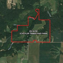 253 Acre Schuyler Timber and Farm Land
